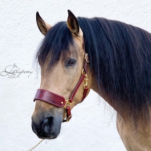 Leather halter Lazypony, handmade horse headcollar with wide noseband