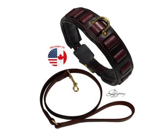 Large Dog Collar Aragon & Lead Lazypony, Personalized Heavy Duty Leather Collar