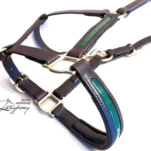 Custom padded horse halter