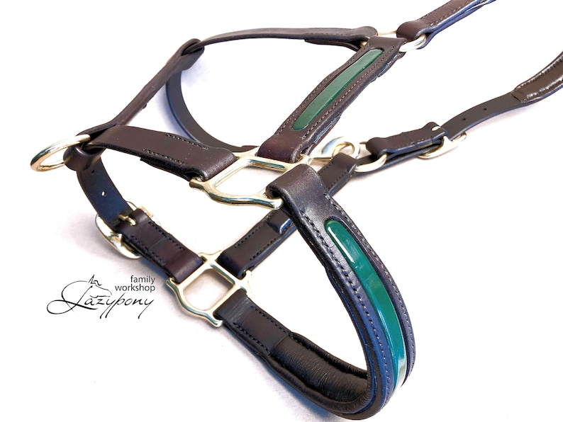 Custom padded horse halter