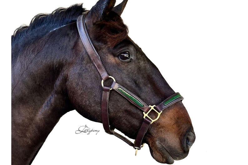 Patent Leather Horse Halter
