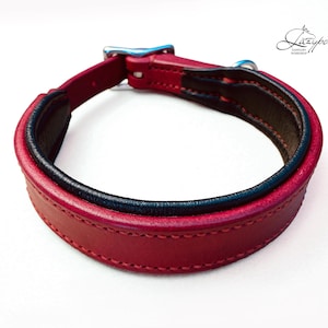 Padded leather collar Dublin Lazypony, handcrafted dog collar, classic dog collar, leather martingale dog collar, personalised custom collar