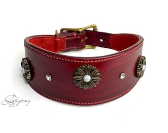 Hound leather dog collar with conchos Lazypony, custom padded wide whippet & greyhound collar