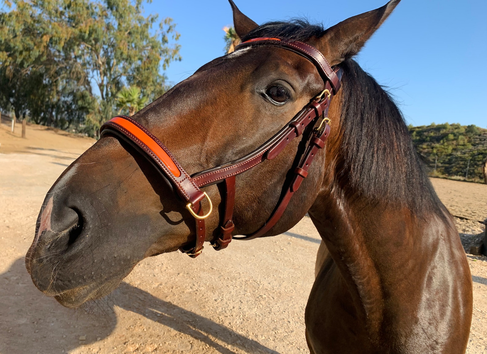 8-Quart Digital Air Fryer
