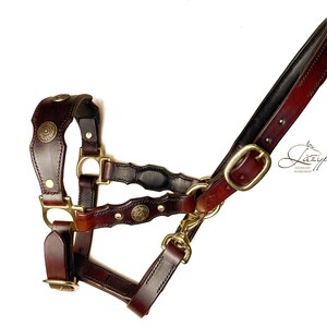 Decorated horse halter with padded leather noseband