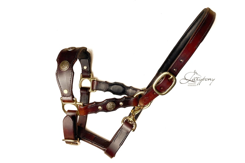 Decorated horse halter with padded leather noseband