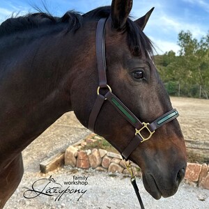 Fancy leather horse halter with soft padding