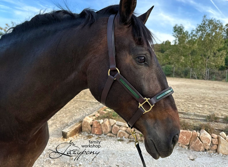 Fancy leather horse halter with soft padding