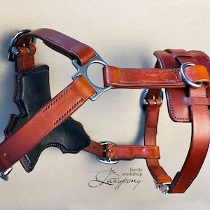 Leather dog harness Lazypony, handcrafted genuine leather harness, anatomic dog harness, dog vest, custom dog harness, big dog harness