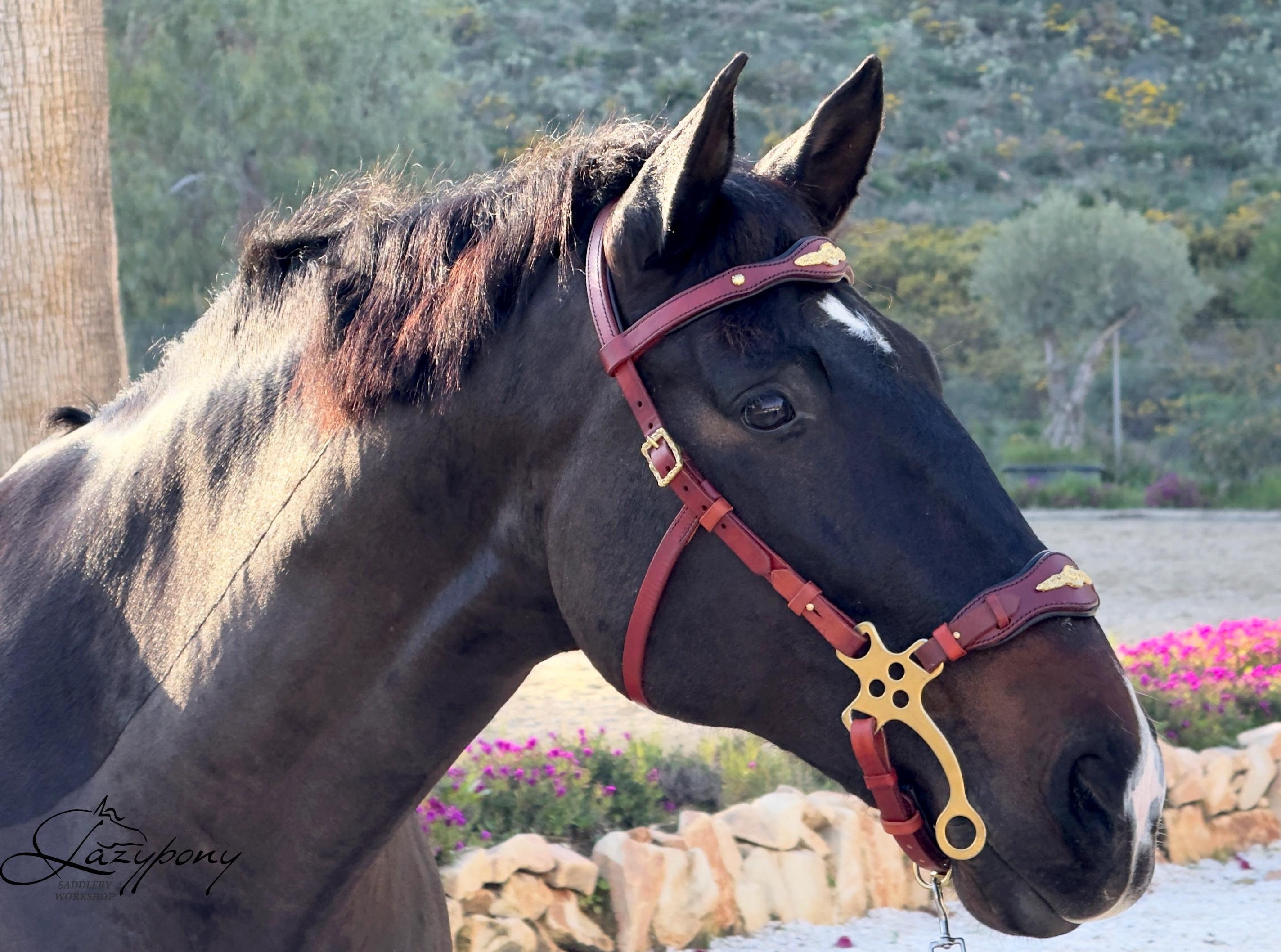 Équitation en cuir Hackamore Bits Logo personnalisé Cheval Bride Hackamore Buts