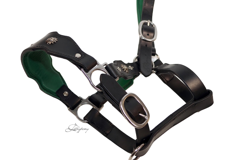 Baroque Leather Horse Headcollar
