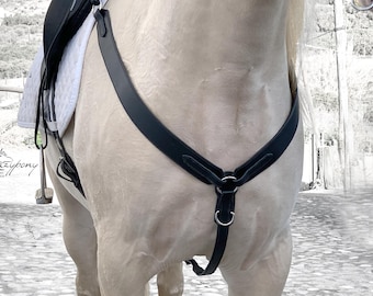 Collare E Pettorina In Nylon Per Cavallo &ndash; Carter Pet Supply, Taglia Full Size, Made In USA