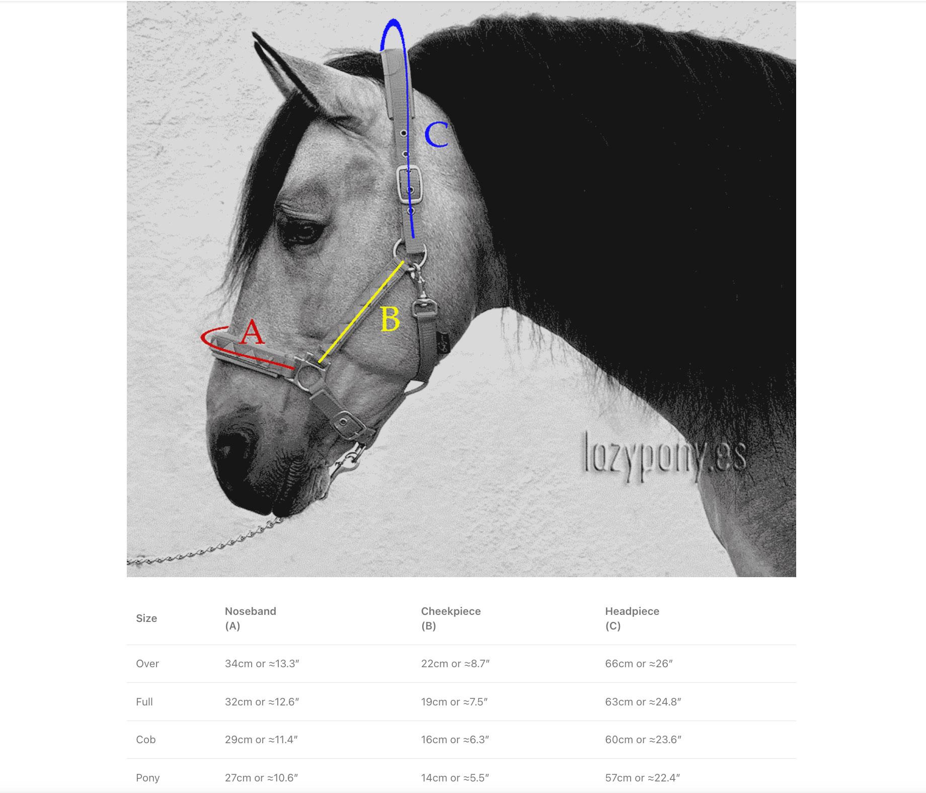 Licol cheval Dyon cuir transport & grooming Working Collection - DYON - Licol cheval