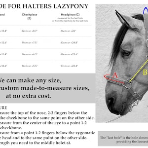 Size chart for Handmade Padded Leather Headcollar