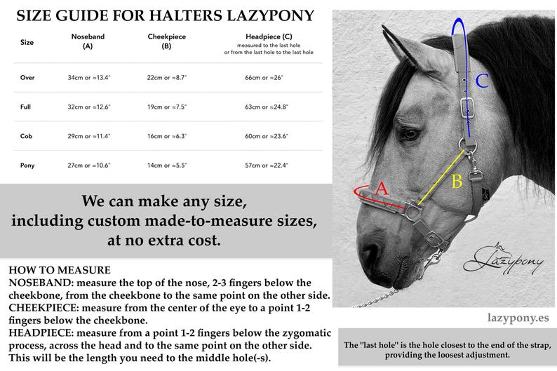 Size chart for Handmade Padded Leather Headcollar