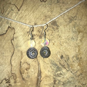 Shell Earrings