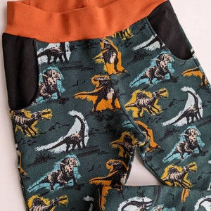 May include: Green pants with a dinosaur print and black pockets. The waistband is a rust orange color.