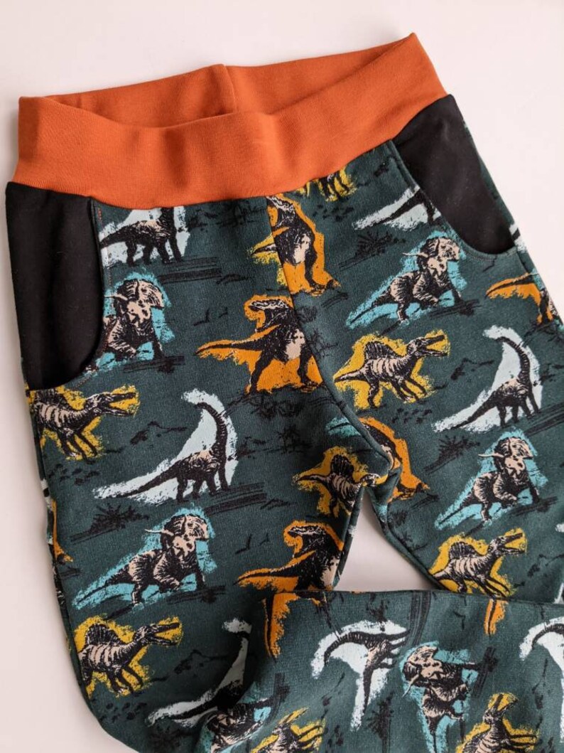 May include: Green pants with a dinosaur print and black pockets. The waistband is a rust orange color.