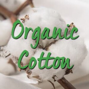 May include: Close-up of a white cotton boll on a branch. The cotton is fluffy and soft, and the boll is surrounded by green leaves.