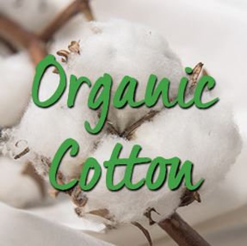 May include: Close-up of a white cotton boll on a branch. The cotton is fluffy and soft, and the boll is surrounded by green leaves.