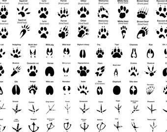 Animal Tracks Svg Etsy