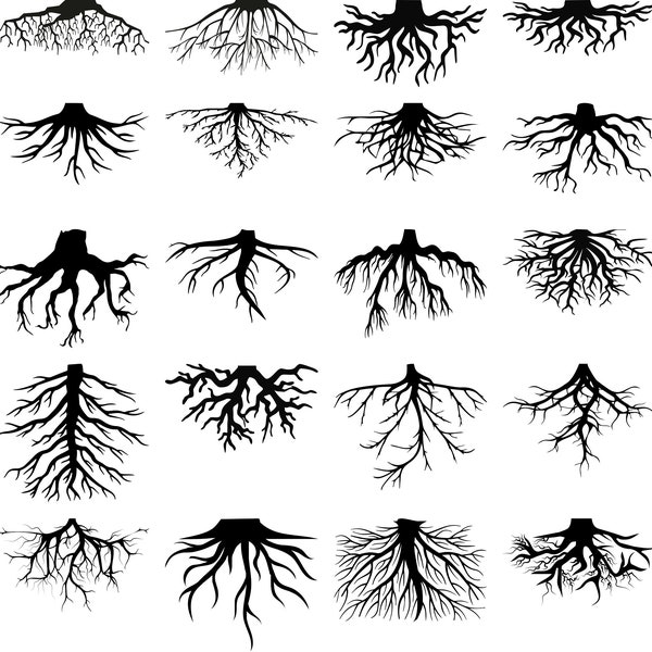Tree Roots SVG File for Cricut, Bundle Collection of Roots, Fichiers vectoriels pour plasma, laser, cnc, Cut File, png ClipArt, dxf eps ai