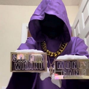 May include: A person wearing a purple hooded robe and a gold chain. The person is holding two gold-framed signs that read "SHADOW WIZARD" and "MONEY GANG". The robe has a dark face covering.