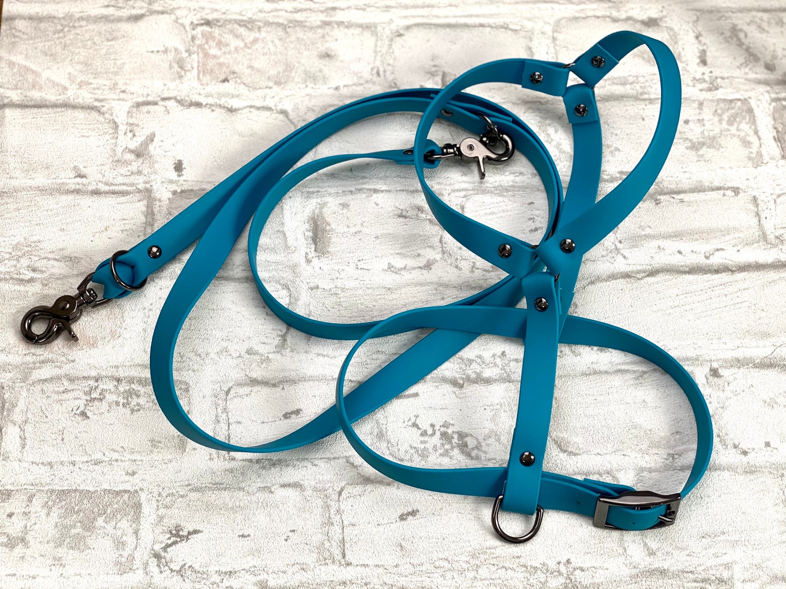 Biothane Set Dog Harness 1.5 Meter or 2 Meter Leash Etsy