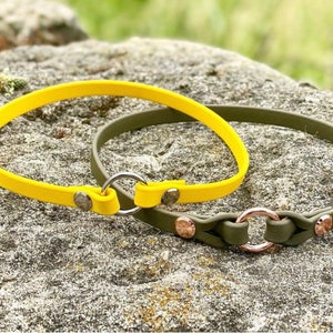 Branded collar made of Biothane