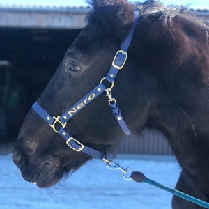 Biothane horse halter