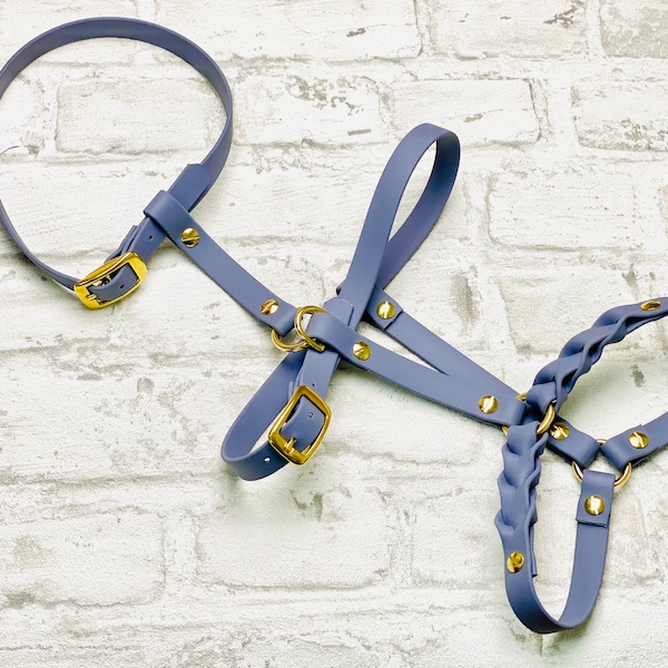 Biothane safety harness for dogs