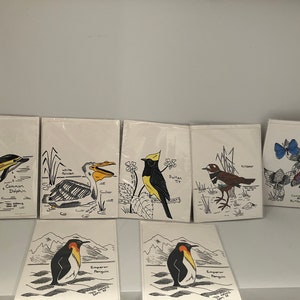 Lot de 7 cartes-oiseaux-papillons-oiseaux-dessinés à la main-1988