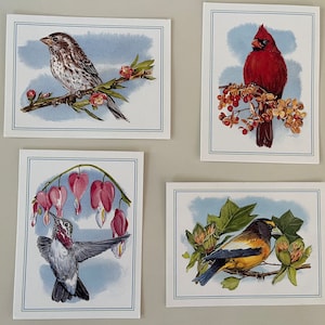 Cartes vierges oiseaux vintage-belle variété-4 ensembles différents-QUALITÉ