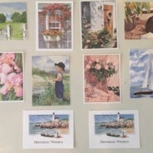 Superbes cartes de voeux vierges-fleurs-American-sailing-cat