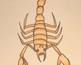 May include: A hand-drawn illustration of a scorpion in brown and orange tones. The scorpion is curled up in a defensive position with its tail raised. The word "Scorpio" is written below the scorpion in a cursive font.