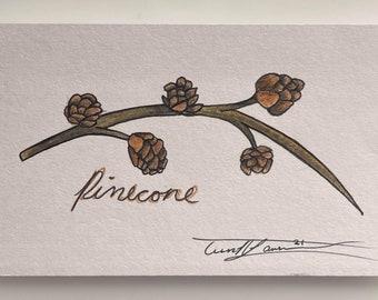 Pinecone Drawing