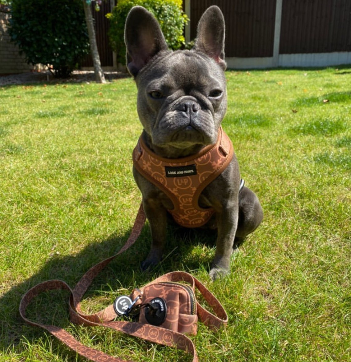 Adjustable Dog Harness Lead and Poop Bag Holder Set Brown Etsy