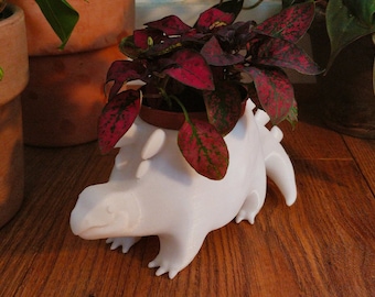 Stegosaurus Planter