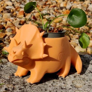 Pianta del triceratopo