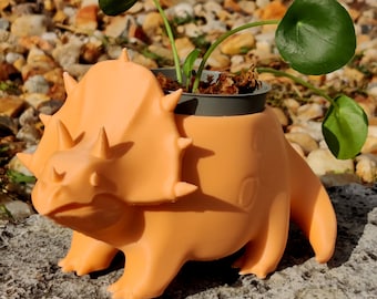 Triceratops planting