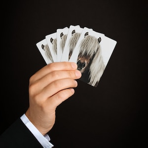 Cavallo islandese fuori nelle carte da gioco selvagge