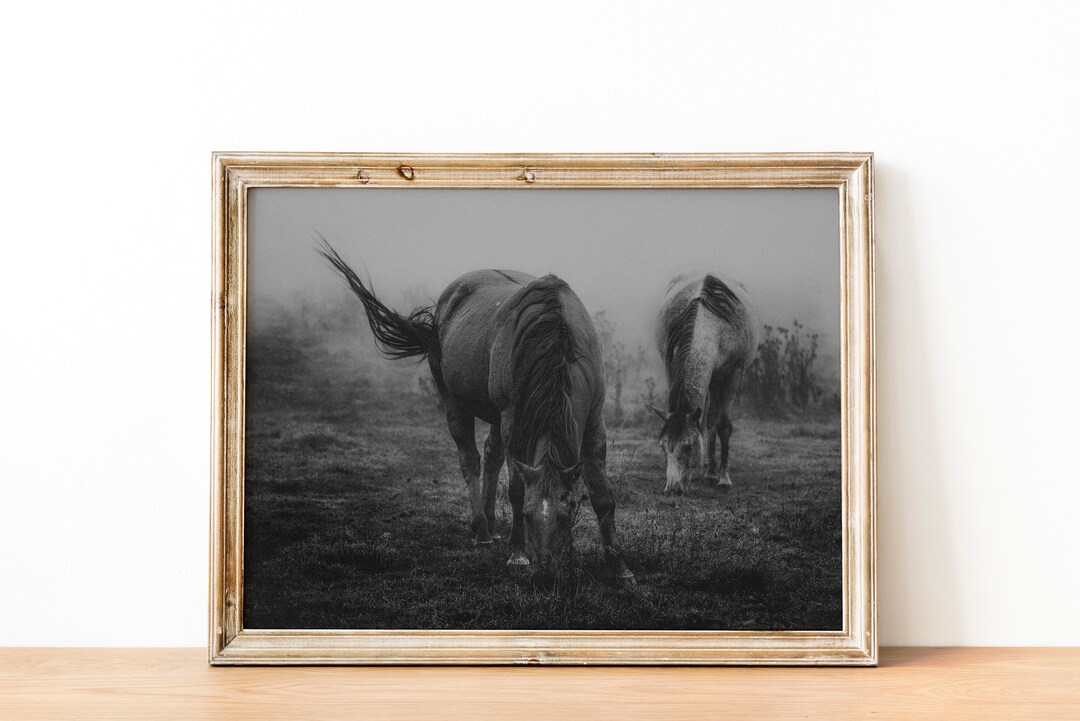 Horse Wall Art Digital Download Printable Farmhouse Horse Print Digital ...