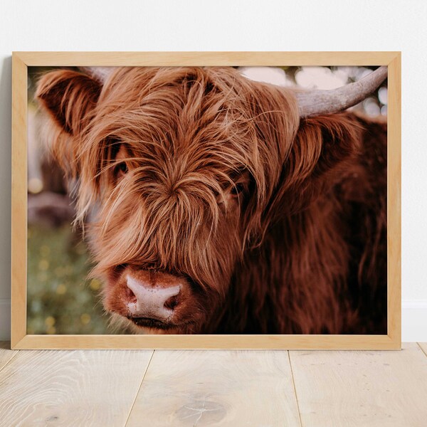 Longhorn Cow Digital Download | Cow Art | Longhorn Photography | Rustic Wall Art | Farmhouse Art