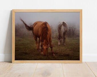 Horse Wall Art Digital Download Printable Farmhouse - Etsy