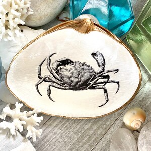 May include: A white seashell dish with a gold rim, featuring a black and white illustration of a crab. The dish is perfect for holding jewelry or other small items.