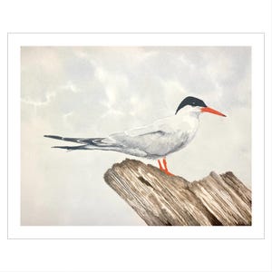 Seaside Watercolor, Coastal Bird Print, Common Tern Painting, Shorebird Scene, Bird Nature Lover Art, Beach House Decor Gift