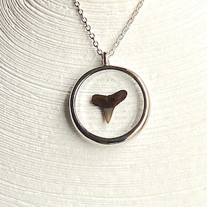 Fossilized Shark Tooth Necklace, Genuine Shark Tooth Fossil Necklace, Real Shark Pendant Necklace, Resin Necklace, Fossil Necklace