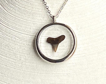 Fossilized Shark Tooth Necklace, Genuine Shark Tooth Fossil Necklace, Real Shark Pendant Necklace, Resin Necklace, Fossil Necklace