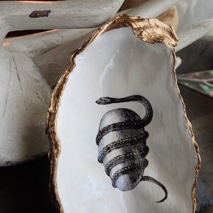 May include: A white ceramic oyster shell dish with a gold rim. The dish features a black and white illustration of a snake coiled around a round object.