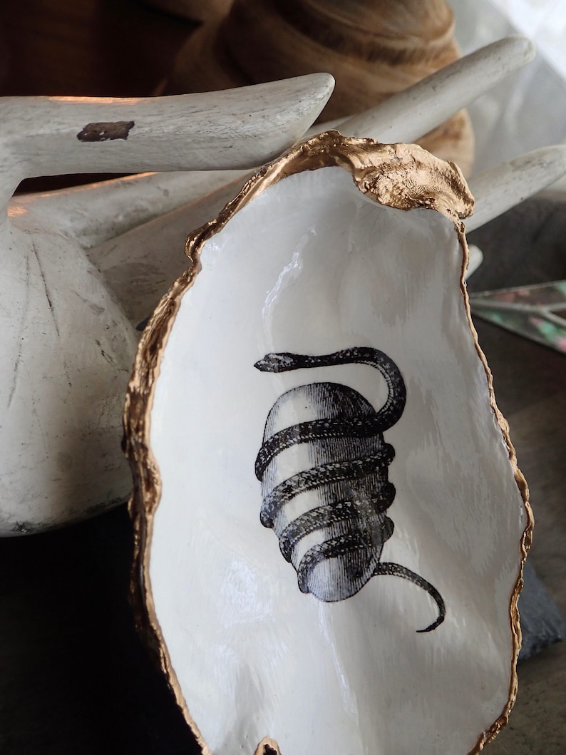 May include: A white ceramic oyster shell dish with a gold rim. The dish features a black and white illustration of a snake coiled around a round object.